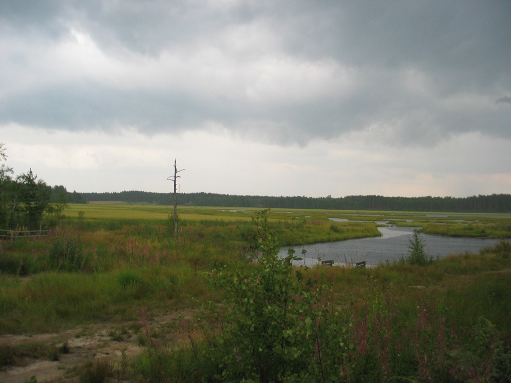jarvi
