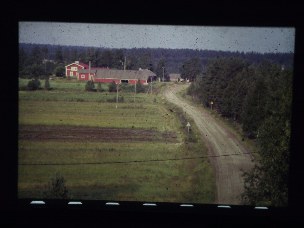 oikoonen